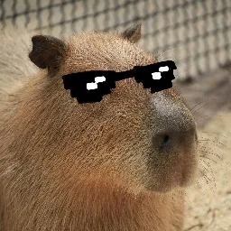 barni_5 customer testimonial